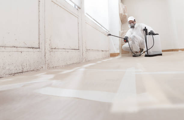 24/7 Emergency Black Mold Remediation experts in Verona, VA