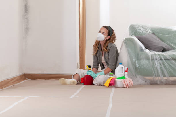 Reliable Black Mold Remediation contractor in Verona, VA by 24 Hour Mold Removal